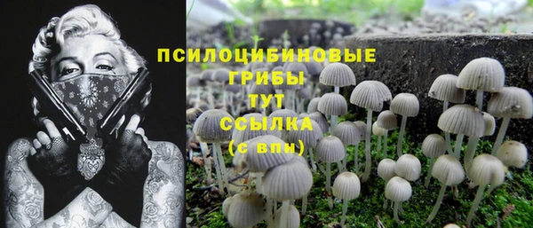 mdpv Абдулино
