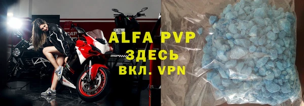 индика Алексин