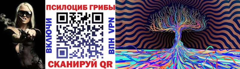 купить наркотики сайты  Ялта  Псилоцибиновые грибы прущие грибы 